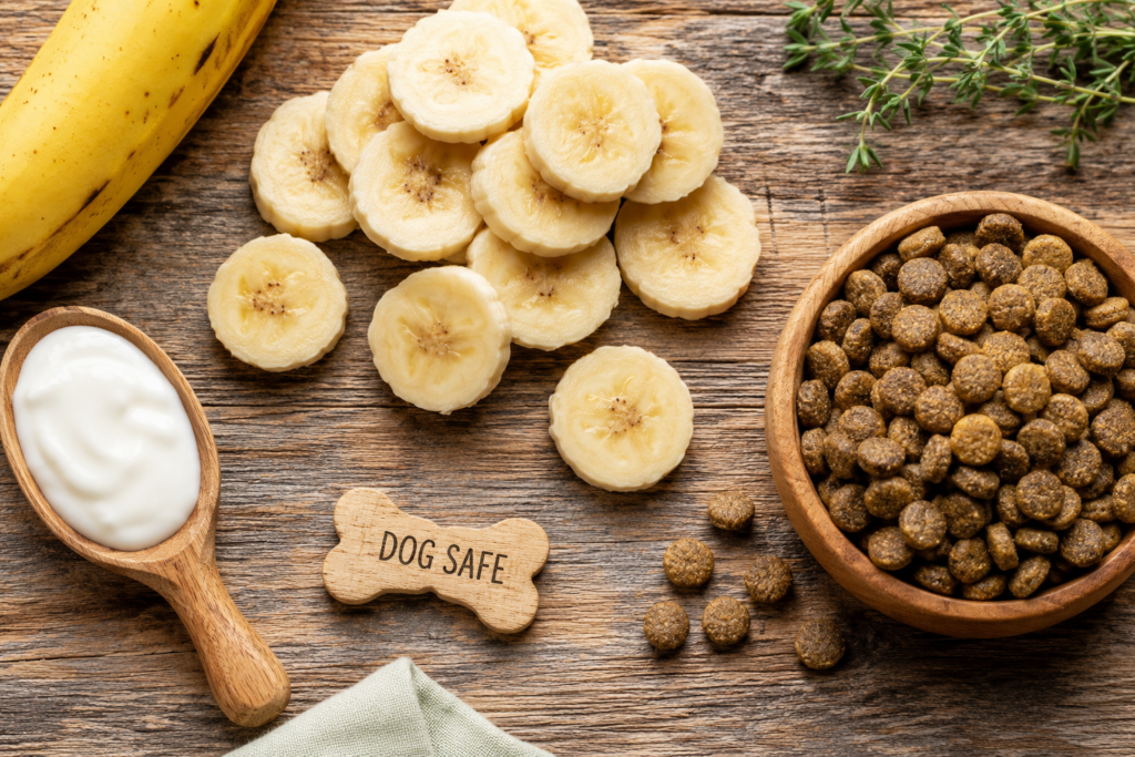 health benefits of bananas for dogs